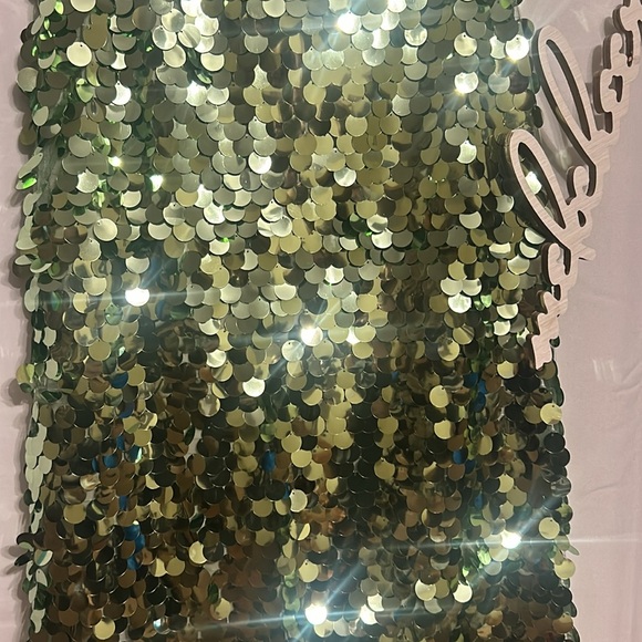 Mint Chip Sequin Roxy Dress - Picture 8 of 12